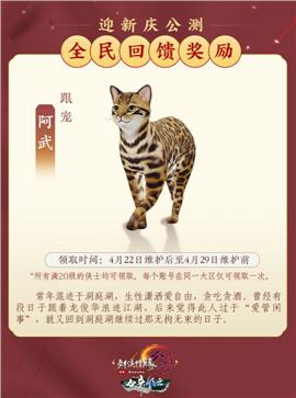 天龙八部私服数字验证